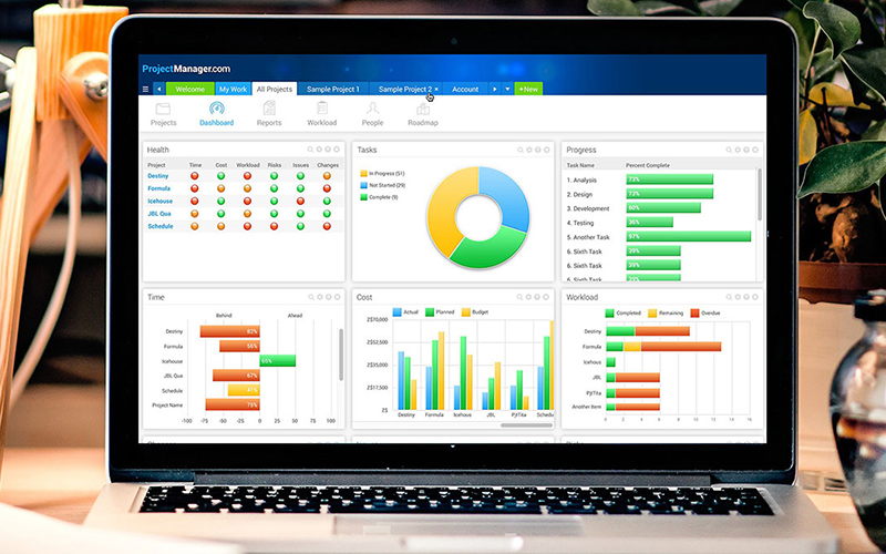 Project Management Software